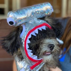 Meet your Posher, Sydney